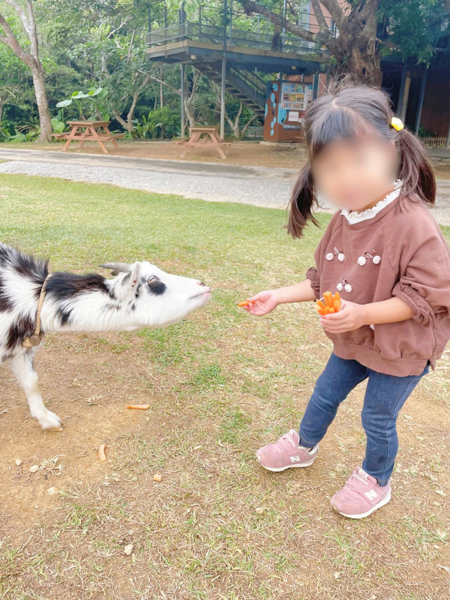 【沖縄】ビオスの丘