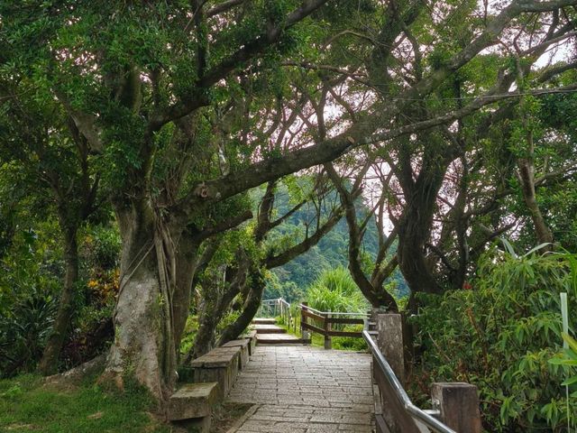 🏞️【台北大縱走】環繞台北101的絕美天際線 🌇