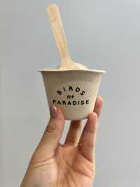 🌴シンガポールの空港で味わう癒しと美味しいアイス🍨|Jewel Changi Airport