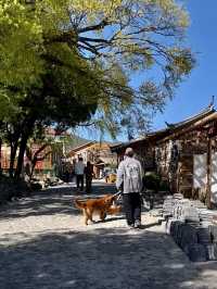Yuhu Village : Stone Houses & Snow Mountain