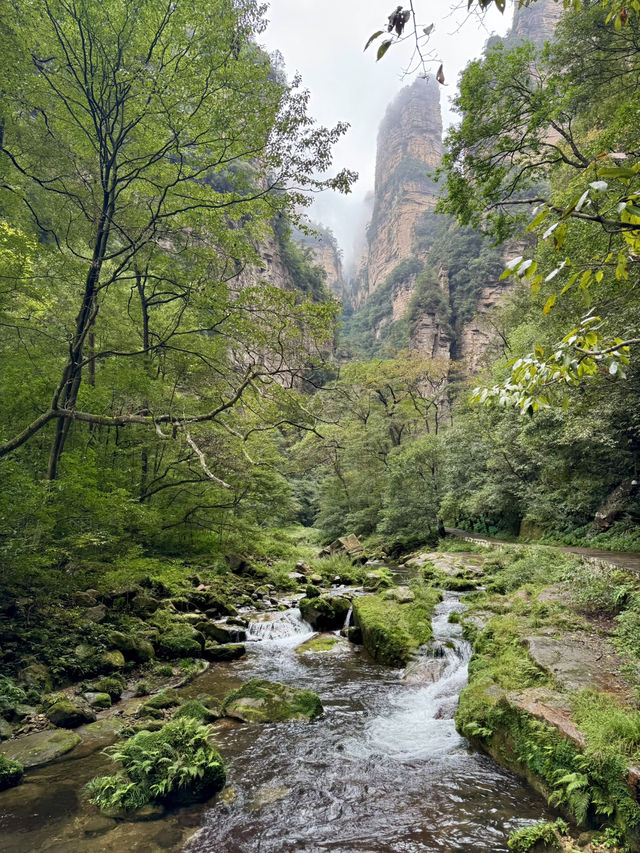 Zhangjiajie and Furong Ancient city 