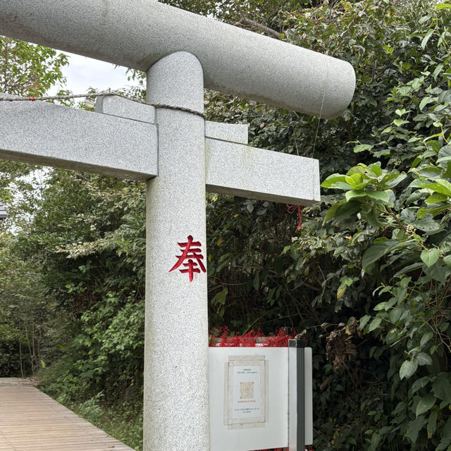 【千葉/館山🇯🇵】歩いて渡れる奇跡の無人島🌊沖ノ島