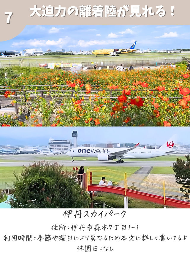 【兵庫】公園ピクニックスポット7選