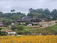 Step Back in Time at Gyeongju’s Yangdong Folk Village 🇰🇷🏯