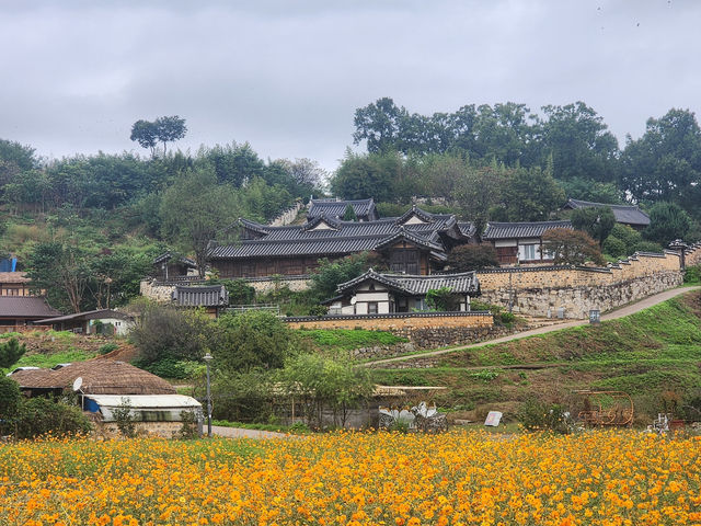 Step Back in Time at Gyeongju’s Yangdong Folk Village 🇰🇷🏯