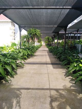Quartier des Serres - An essential stopover for your stay in Mauritius