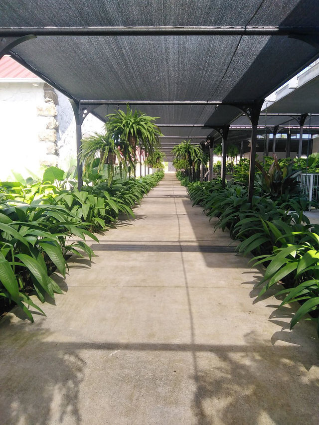 Quartier des Serres - An essential stopover for your stay in Mauritius