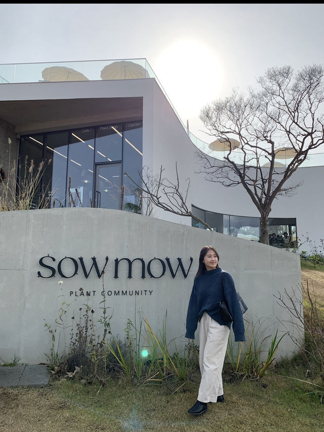 청도 감성카페 소우모우