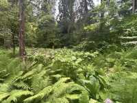 Washington Park Arboretum