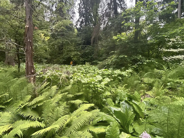 Washington Park Arboretum Washington Park Arboretum