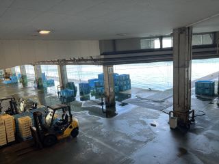 การเดินทางสุดสดสุดเหวี่ยงชมน้ำแข็ง - ซาชิมิปลาสเตอร์เจียนเย็นฉ่ำ สัมผัสประสบการณ์สดใหม่แบบท้องถิ่นในอวนเดียว!

ครั้งนี้เราจะพาคุณไปตลาดปลาน้ำแข็งและลิ้มรสปลาสเตอร์เจียนเย็นฉ่ำที่เป็นตัวแทนที่ดีที่สุดในฤดูหนาว! คุณคุ้นเคยกับการกวาดถนนในเมืองใหญ่แล้วหรือยัง? ลองเปลี่ยนมุมมองและออกเดินทางท่องเที่ยวเมืองเล็กๆ แบบสบายๆ และเจาะลึก เพื่อสัมผัสรสชาติแบบญี่ปุ่นแท้ๆ กันเถอะ!

ไฮไลท์ของทริป: สัมผัสความสดสุดขั้วของตลาดปลาน้ำแข็ง ลิ้มรสปลาสเตอร์เจียนเย็นฉ่ำที่หาได้เฉพาะในฤดูหนาว และลิ้มลองกุ้งขาวรสเลิศเฉพาะท้องถิ่น ถ่ายภาพอาหารญี่ปุ่นในร่มที่สวยงาม และสัมผัสบรรยากาศวิถีชีวิตชาวประมงญี่ปุ่นจากระยะไกล!

ประสบการณ์ห้ามพลาดที่ตลาดปลาน้ำแข็งเมอิ
ครั้งนี้เราจะเน้นไปที่ตลาดปลาเฮียวมิ ซึ่งเป็นอาหารเช้าแบบท้องถิ่นแท้ๆ ไม่ใช่แค่ "ข้าวหน้าอาหารทะเล" ธรรมดาๆ สักถ้วย ที่นี่คือสถานที่ที่ชาวประมงนำปลาที่จับได้ออกมาประมูลในตอนเช้า และร้านอาหารเพียงแห่งเดียวในตลาดปลาเฮียวมิจะจับปลาที่จับได้ในวันนั้นๆ ทั้งแบบฆ่าและแล่ โดยเฉพาะในเดือนธันวาคม ปลาแอมเบอร์แจ็คเย็นๆ จะเป็นปลาที่อยู่ในช่วงพีค ละลายในปาก อุดมไปด้วยน้ำมัน สดใหม่และหวานทุกคำ!
เมนูส่วนใหญ่มีซาชิมิ ซูชิปลาสเตอร์เจียน อาหารย่าง และอื่นๆ อีกมากมาย ร้านค้าส่วนใหญ่มีบรรยากาศแบบญี่ปุ่นโบราณเล็กน้อย ที่นั่งบนโต๊ะสะอาดและสะดวกสบาย และภาพถ่ายก็สวยงามมาก ทานให้อิ่มท้องจนเดินชมตลาดได้เลย ภายในร้านเต็มไปด้วยแหจับปลาและป้ายบอกทาง

ซาชิมิปลาสเตอร์เจียนเย็นๆ ที่แนะนำต้องลอง
ปลาสเตอร์เจียนเย็นๆ ของเฮียวมิจะอวบอิ่มในฤดูหนาว แต่อย่าลืมหาร้านที่เขียนว่า "จับได้ในท้องถิ่น" เพื่อสัมผัสความหวานและความนุ่มละมุนในปาก เมนูส่วนใหญ่มี "ซาชิมิปลาแอนโชวี่" "ซูชิปลาแอนโชวี่" และ "ปลาหมึกหั่นบาง" ขอแนะนำให้ลองซาชิมิแพลตเตอร์ เสิร์ฟพร้อมมัสตาร์ดบดสดใหม่จากตลาด

อาหารท้องถิ่น - กุ้งขาว
นอกจากปลาแอมเบอร์แจ็คแล้ว ยังมีอาหารต้นตำรับอีกชนิดหนึ่งที่เรียกว่า "กุ้งขาว" ซึ่งหาทานได้ยากในต่างประเทศ กุ้งขาวตัวเล็กมากจนน่าแปลกใจ

ร้านอาหารแนะนำ
📍ตลาดปลาเฮียวมิ
ที่อยู่: 1-1 ชูโอ-โช, ฮิมิ-ชิ, จังหวัดโทยามะ
เวลาเปิดทำการ: 06:00-14:00 น. (แนะนำให้มาช่วงเช้าเพื่อสัมผัสความสดใหม่)

เคล็ดลับการถ่ายภาพอาหารภายในร้าน
ร้านอาหารส่วนใหญ่ในตลาดมีแสงไฟสลัวๆ เหมาะสำหรับการถ่ายภาพซาชิมิและซูชิสีสันสดใส แนะนำให้ใช้แสงธรรมชาติส่องไปที่ความมันของเนื้อปลา หรือจะถ่ายภาพเมนูบนโต๊ะใส่กล้องเพื่อสร้างบรรยากาศอาหารที่โดดเด่น

เคล็ดลับการใช้งาน
1. เดือนธันวาคมเป็นช่วงพีคของปลาสเตอร์เจียนเย็น ร้านอาหารหลายแห่งมีปริมาณจำกัด ขอแนะนำให้สอบถามล่วงหน้า
2. ที่นั่งในตลาดปลามีจำนวนจำกัด และอาจต้องต่อคิวในช่วงวันหยุด
3. ขอแนะนำให้สวมเสื้อผ้าที่อบอุ่น แม้ว่าอากาศจะหนาวเย็นก็ตาม

ข้อมูลการเดินทาง
ที่จอดรถใกล้เคียงกว้างขวางและการเดินทางสะดวกสบายมาก

#บันทึกอาหารฮโยมิ #ฤดูหนาวจำกัดแอมเบอร์ #การสำรวจอาหารท้องถิ่น #ทริปโทยามะ #ท่าเรือตกปลาญี่ปุ่น #ประสบการณ์ใหม่ #ตลาดตกปลาฮโยมิ