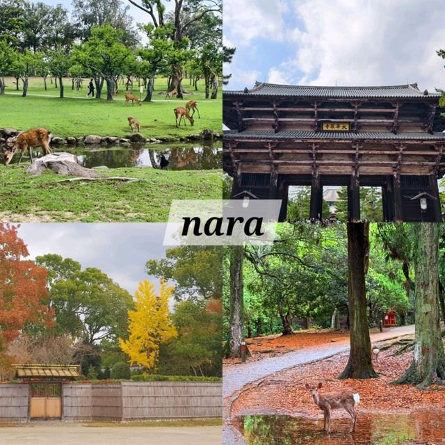 5 จุดต้องแวะ เมือง nara 5 จุดต้องแวะ เมือง nara