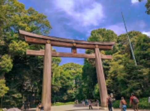 A Peaceful Escape in the Heart of Tokyo — Meiji Jingu Shrine