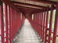 沖繩必去地方-長瀨島、美國村、海洋館、玉泉洞、（食）阿古豬