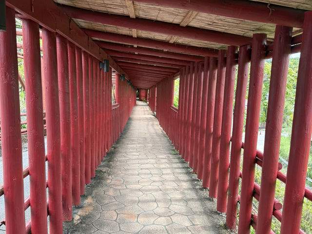 沖繩必去地方-長瀨島、美國村、海洋館、玉泉洞、（食）阿古豬