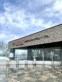 Breathtaking Views from the Ski Jump Tower ❄️