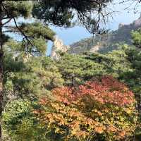 🌄【Laoshan 崂山｜The Sacred Mountain That Defines Qingdao】