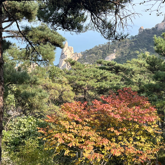 🌄【Laoshan 崂山｜The Sacred Mountain That Defines Qingdao】