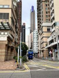 Modern City Pulse🌆