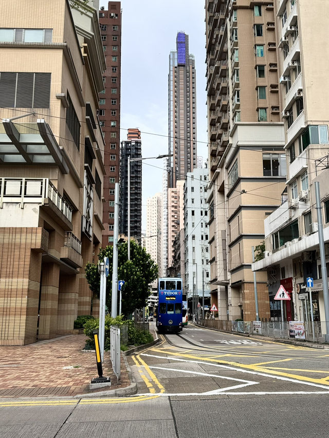 Modern City Pulse🌆 Modern City Pulse🌆