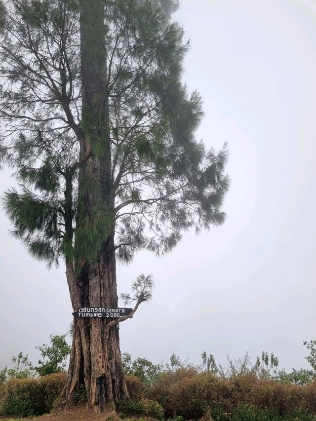 Vibrant Day Out🌸 Vibrant Day Out🌸