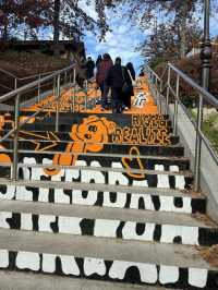 Everland Fall Magic🍁  