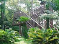 Soaring Above Nature: A Guide to Putrajaya Wetland Park’s Lookout Tower