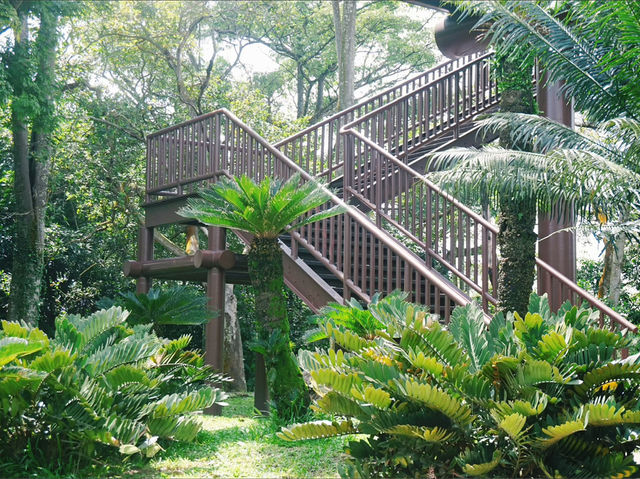 Soaring Above Nature: A Guide to Putrajaya Wetland Park’s Lookout Tower