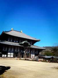 金色草原上的奈良若草山之夢 🌾🌅