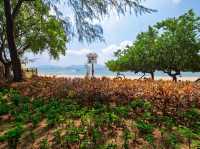 A Narrow Strait of Sand and Sky