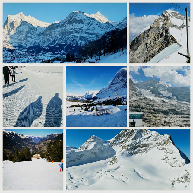 Scenic Ski Escape🗻 Scenic Ski Escape🗻