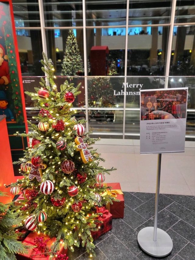 12월에 가장 빛나는 경주여행코스 12월에 가장 빛나는 경주여행코스