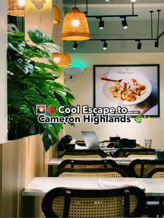 🌄🍓 Cool Escape to Cameron Highlands: d’Centrum Visit 🌿✨