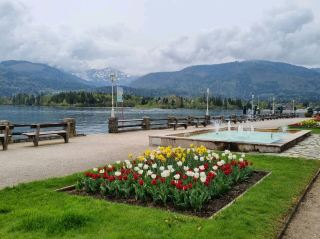 A Day Trip Near Salzburg