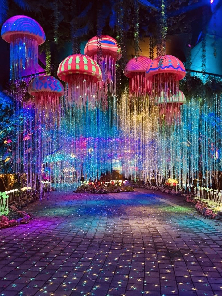 This Park Paradise in Daejeon is a Day-Night Dream 🌳✨