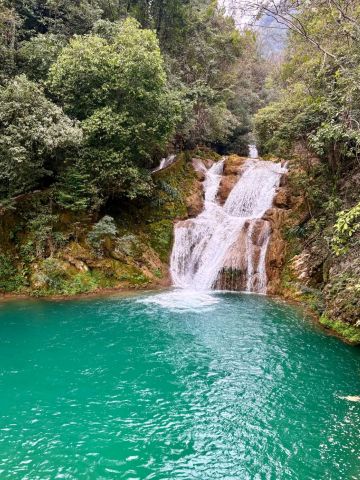 珍しい「水上の森」の風景 | Trip.com 茘波