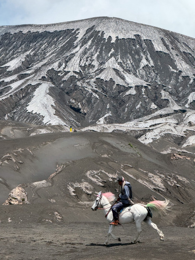 マランからブロモ山へのスクーターでのロードトリップ | Trip.com Senduro