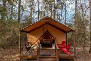 Two Creeks Crossing: Glamping Tent, Treehouse Stay, Woodland Yurt