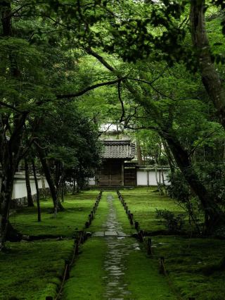 🍃🏯 SAIHO-JI – THE ANCIENT MOSS TEMPLE OF KYOTO THAT FEELS LIKE A FAIRY TALE