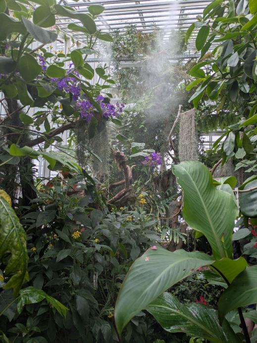 The Aarhus Botanical Garden: A Danish Gem That’s Hard to Believe is Free