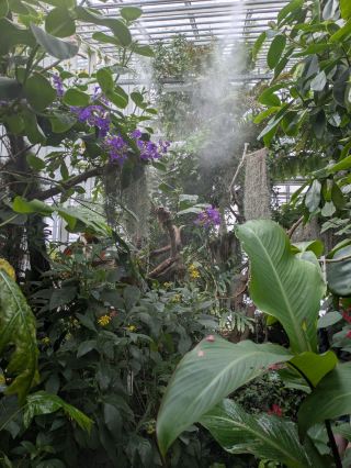 🌿 The botanical gardens of Aarhus, Denmark, are unbelievable for being free.