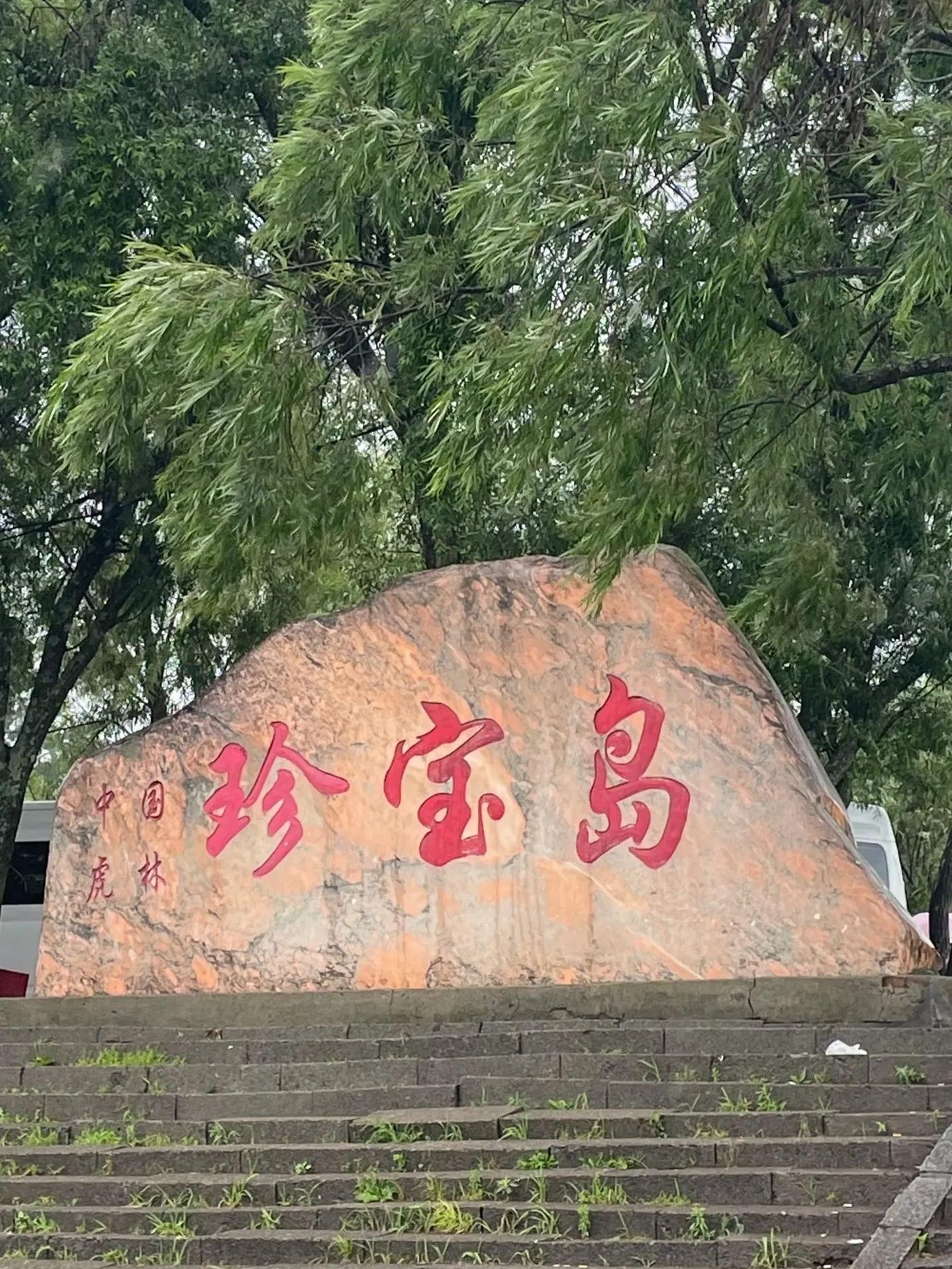 Công viên rừng Zhenbaodao - Vào cửa miễn phí | Cảnh quan sông biên giới + Hệ sinh thái nguyên sơ! Một điểm đến không thể bỏ qua ở Hắc Long Giang 🌲