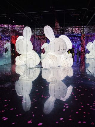 ARTE MUSEUM Busan — overrated or actually worth exploring?
