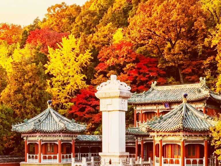 Golden Willows Along Kunming Lake Shores
