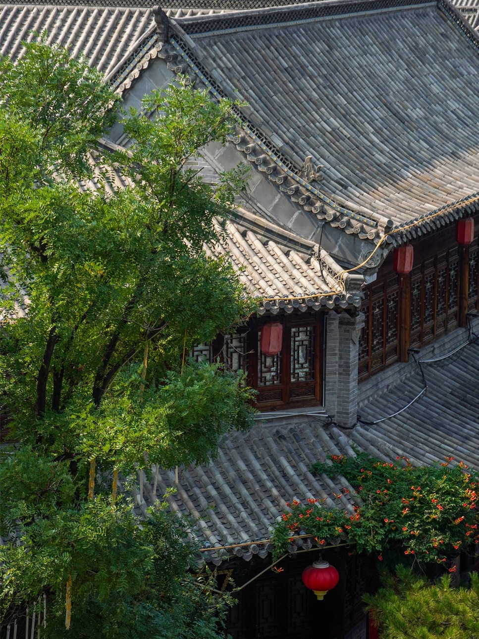 中國青州古城🇨🇳🏮 | 穿越歷史、文化與地方風味的永恆之旅