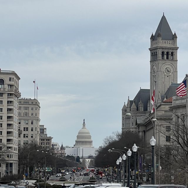 Strolling the Streets of D.C.