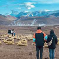 el Tatio Geysers, Yellow Stone in Chile 