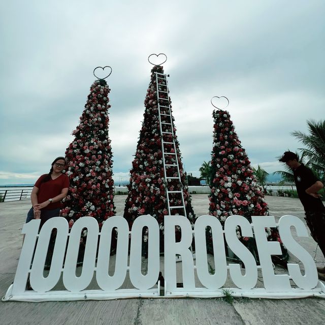 10K Roses - Unique and Romantic Spot 