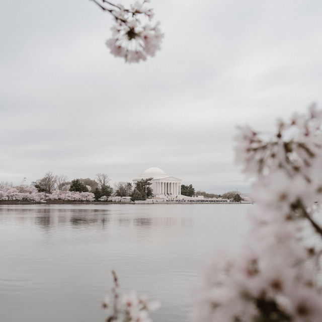 Cold & calm spring day in Washington DC