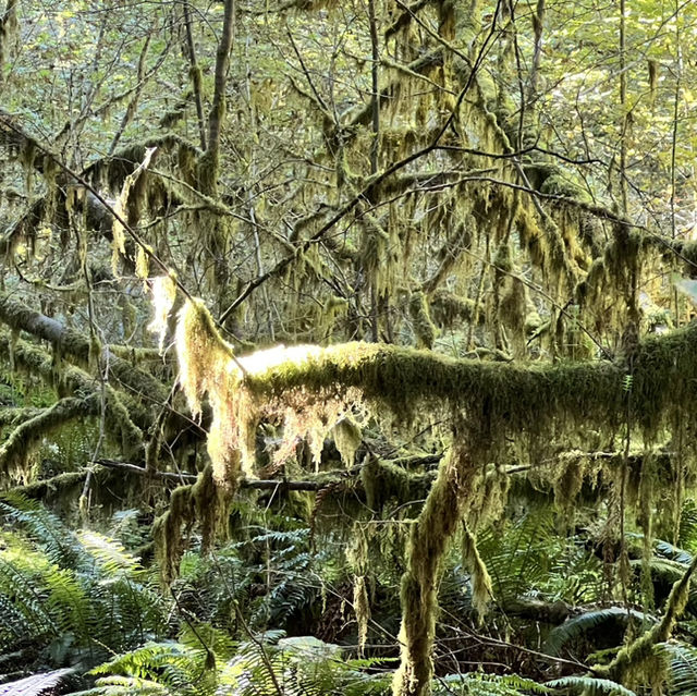 Olympic National Park in September 